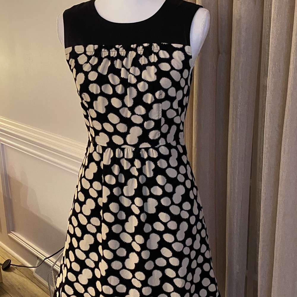 Anthropologie Leifnotes sz 4 EUC. $70